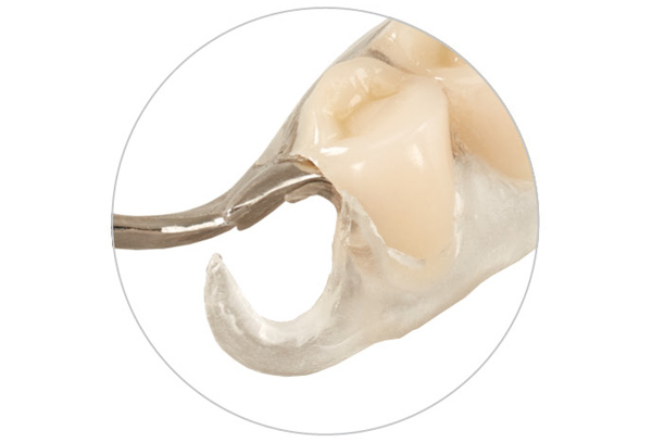 clasp_option_clear Clear