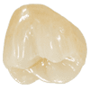 e.max