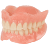 Traditional Temporary Denture